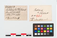 Etiketten zu Bronzespiralröhrchen (NHMW-PRAE-024885a)